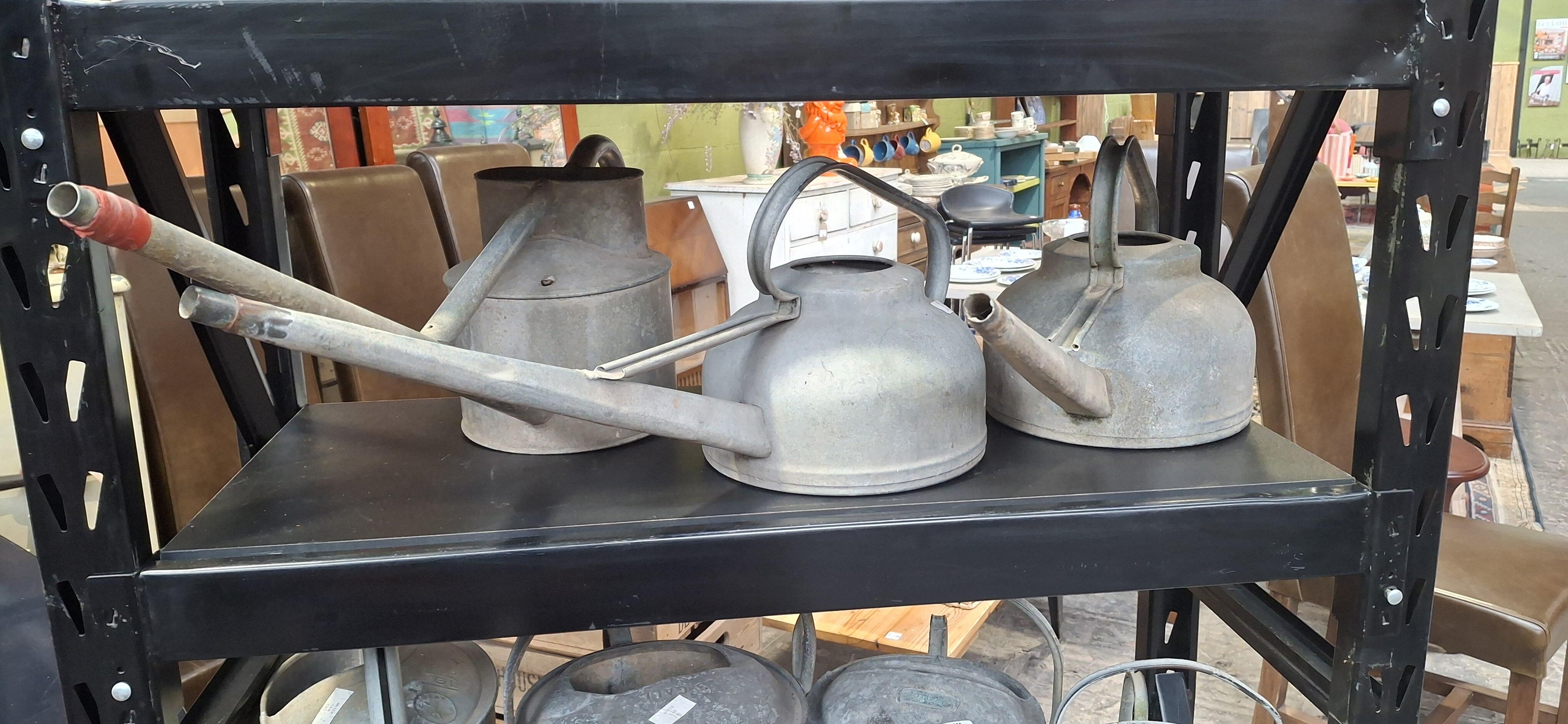 Assorted Vintage Watering Cans Some with Roses