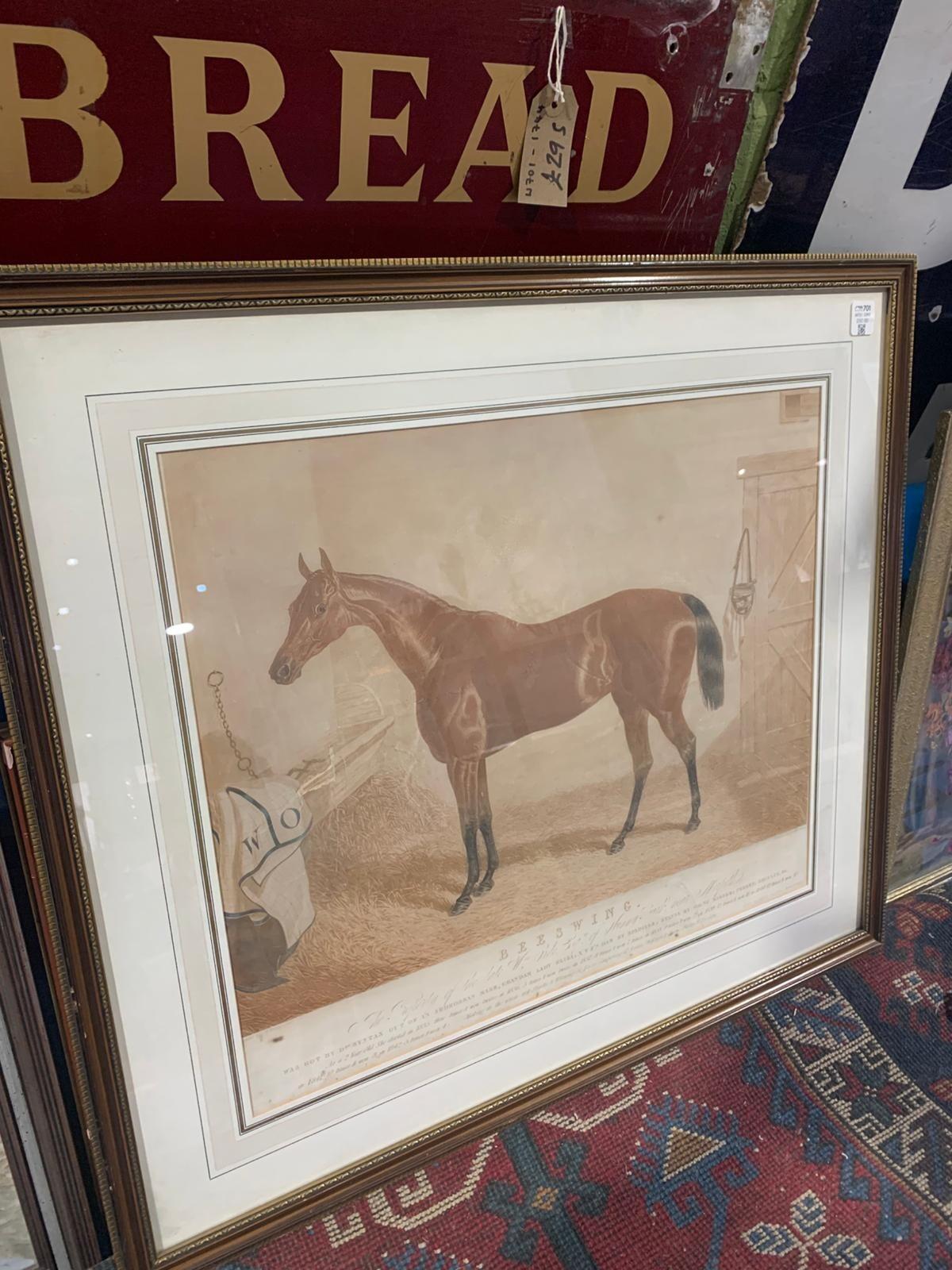 Antique print of Beeswing