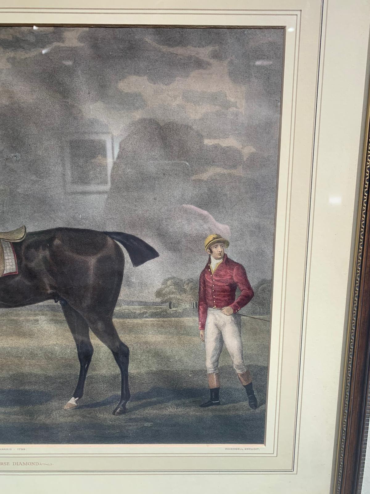 Antique print of Racehorse Diamond