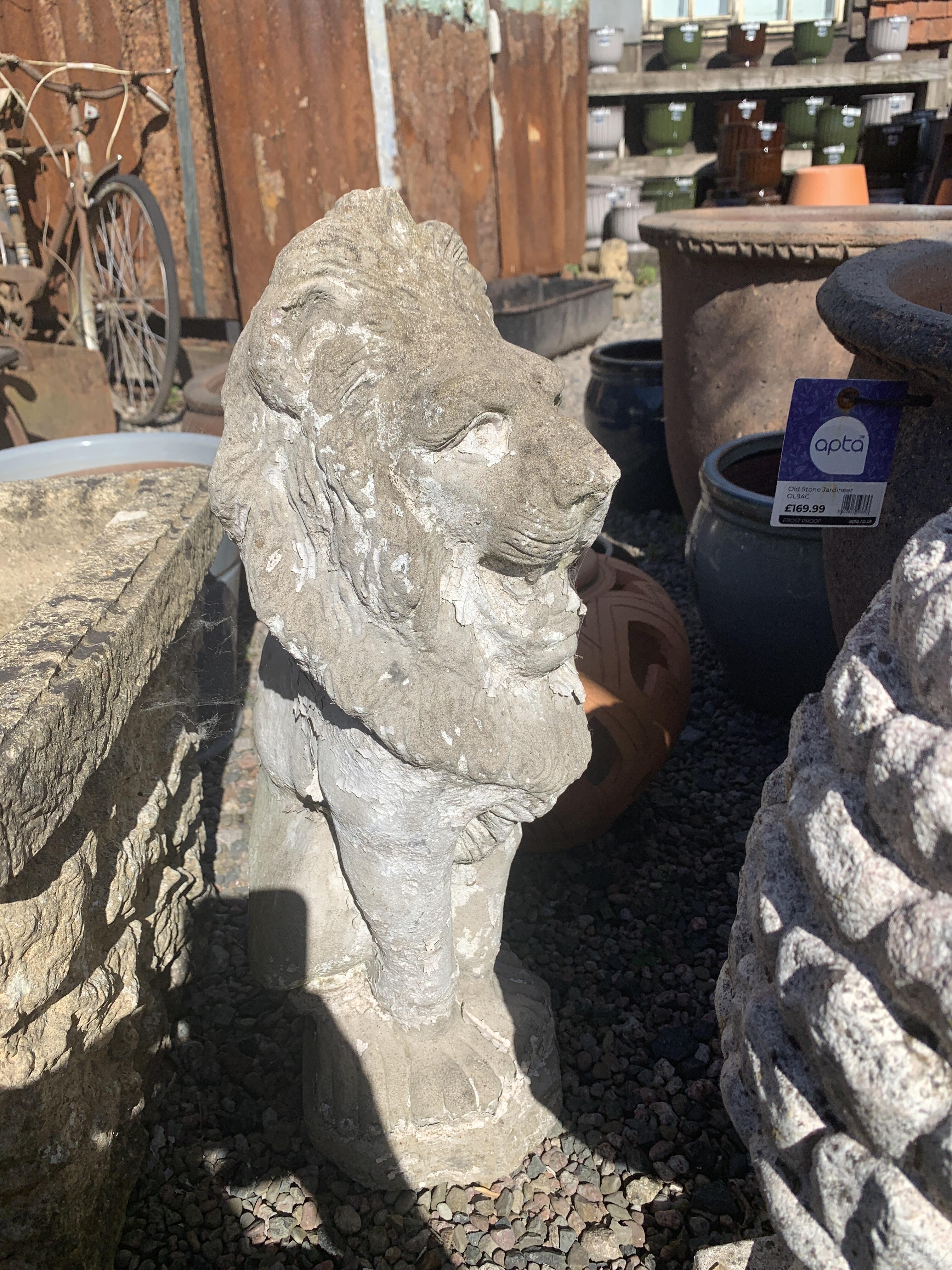 Reclaimed Concrete Lion Statue - 55cm Tall