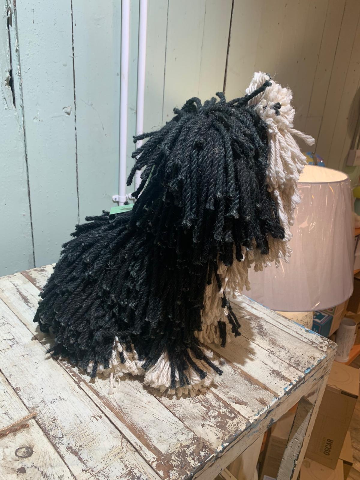 Black Cream Dougal Dog Sitting