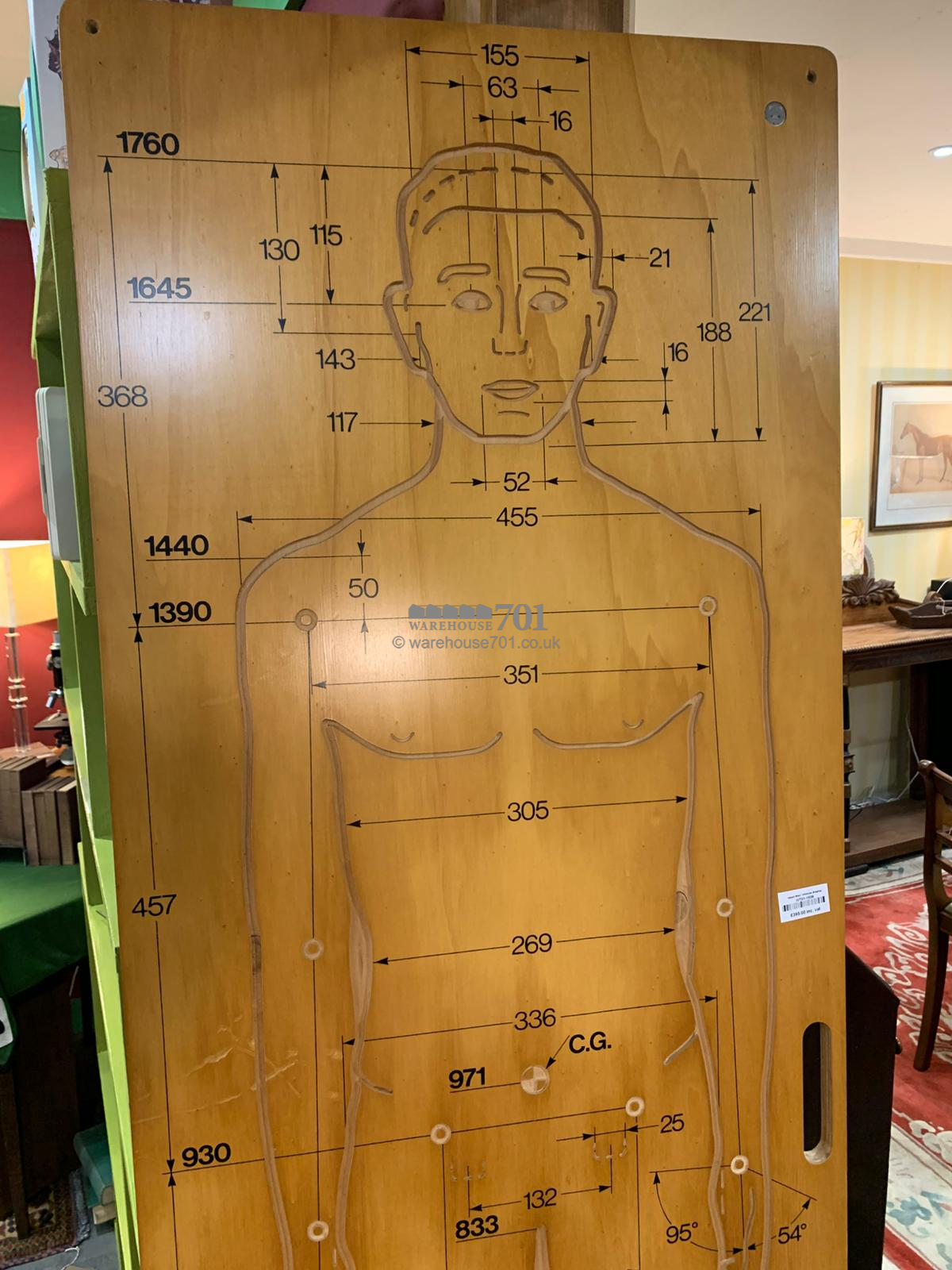 'Ideal man' life size diagram on wood