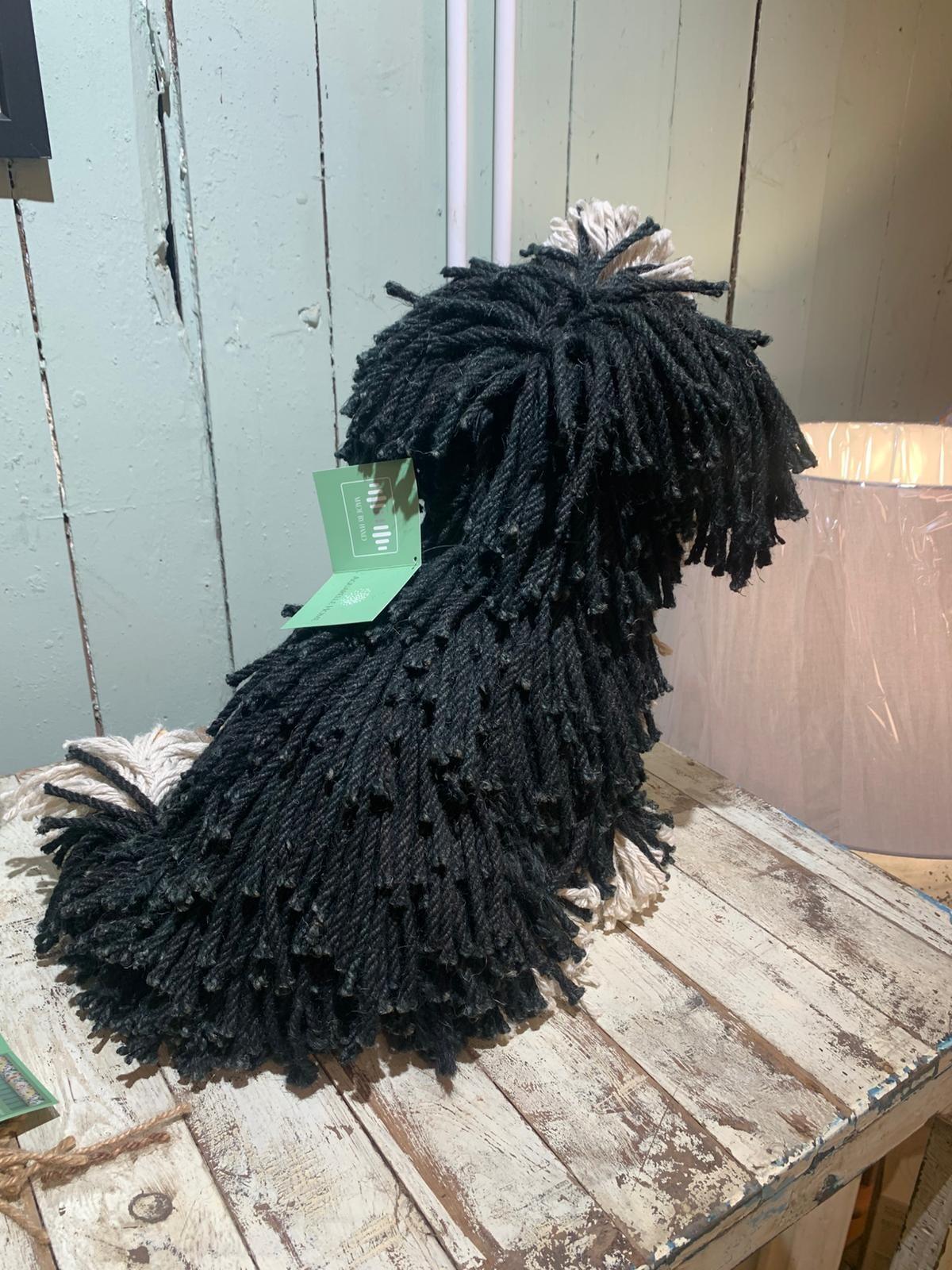 Black Cream Dougal Dog Sitting