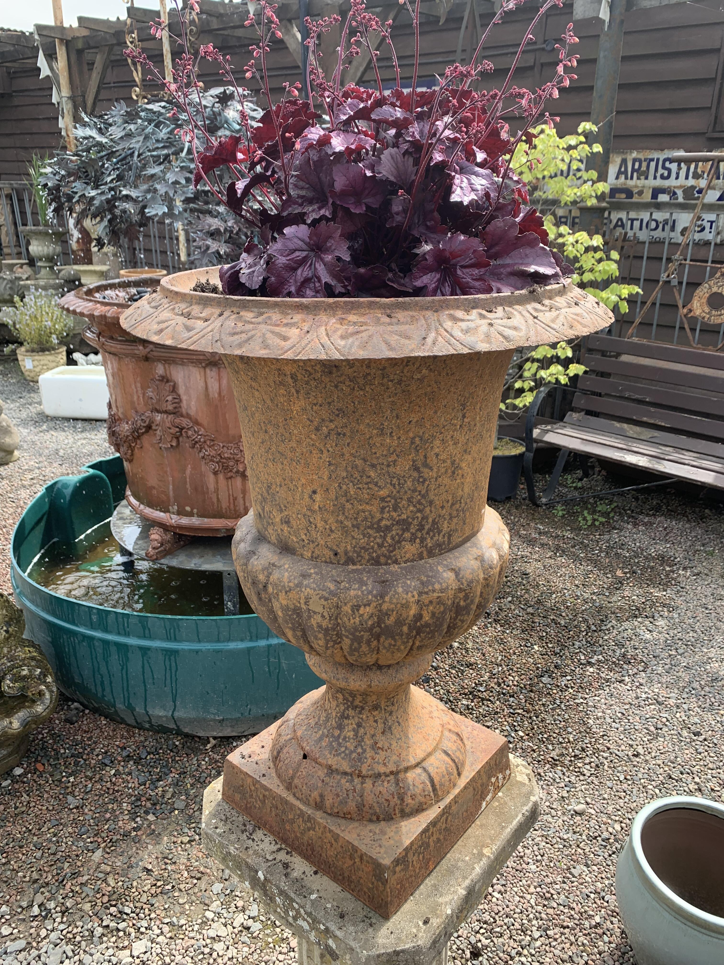 Antique Pair Cast Iron Urns on Decorative Plinths