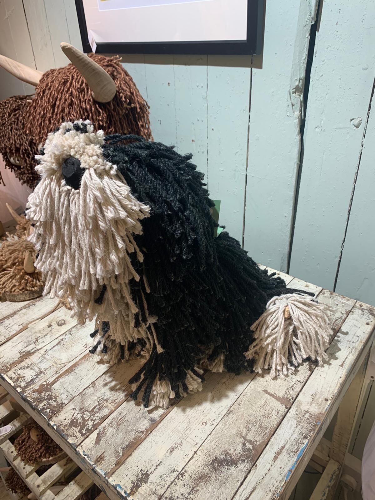 Black Cream Dougal Dog Sitting
