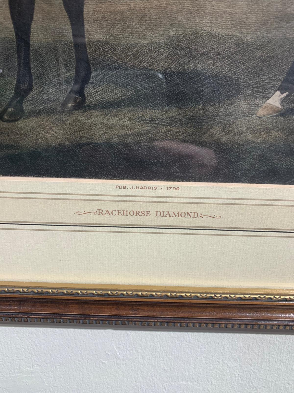 Antique print of Racehorse Diamond