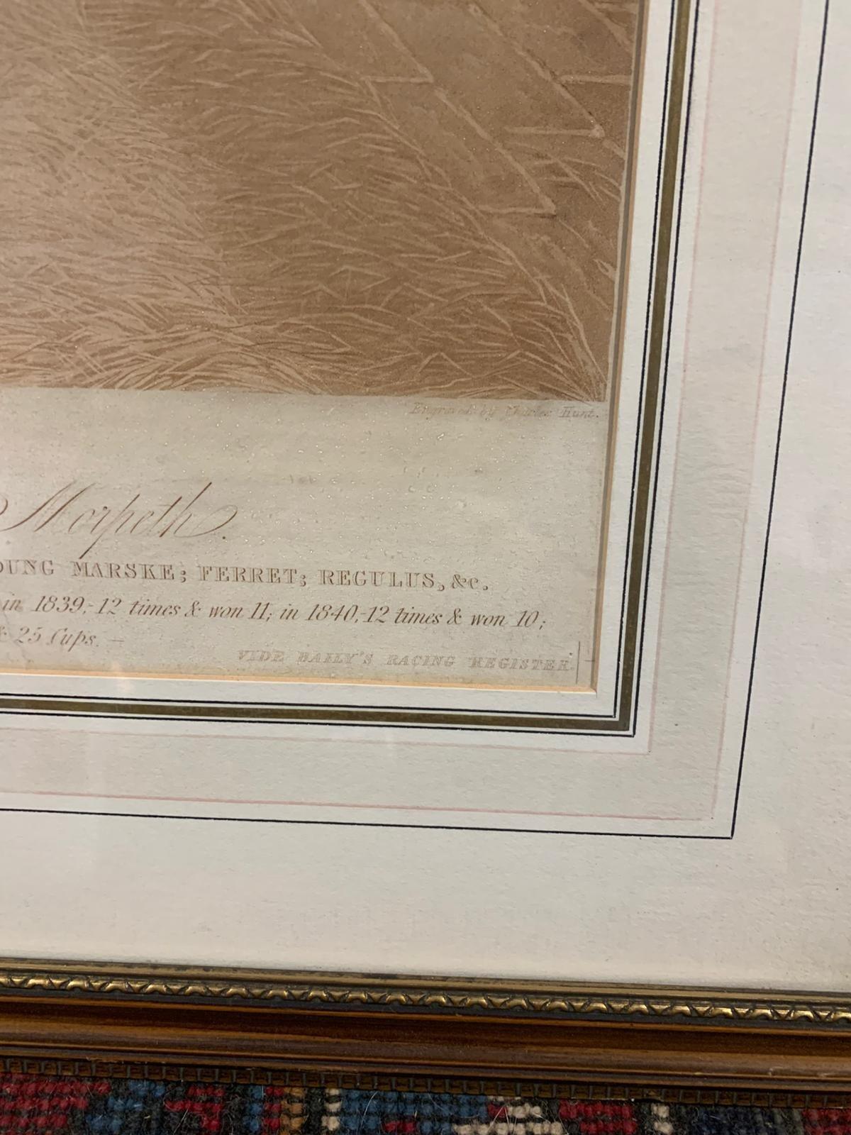 Antique print of Beeswing