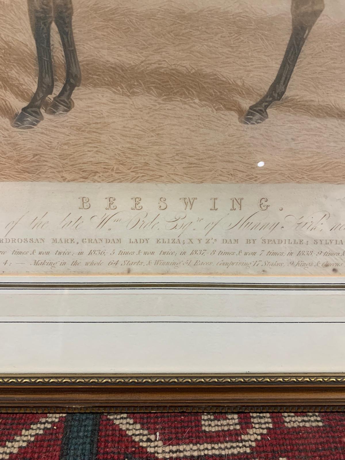 Antique print of Beeswing