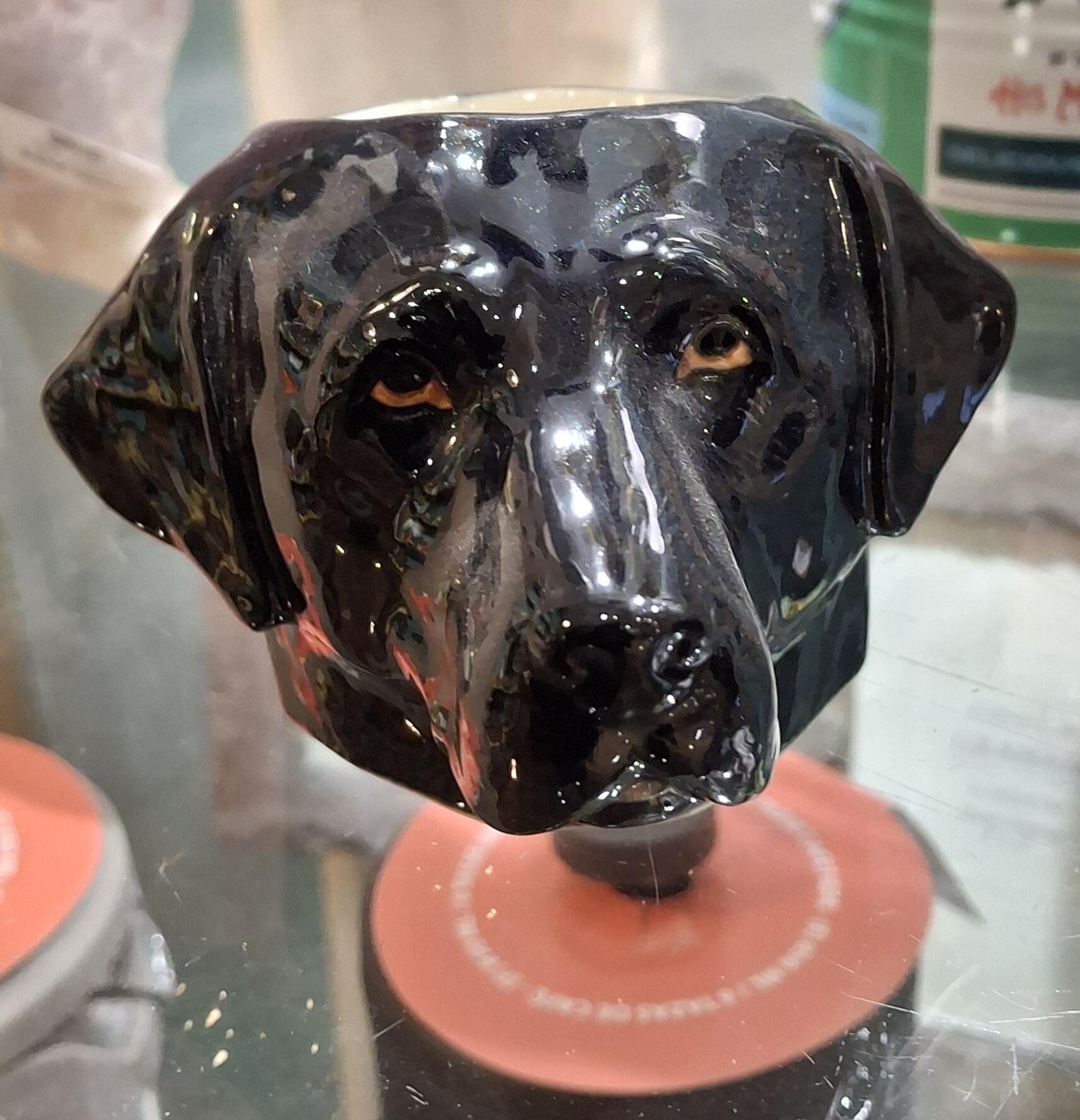 Charming Black Lab Face Egg Cup