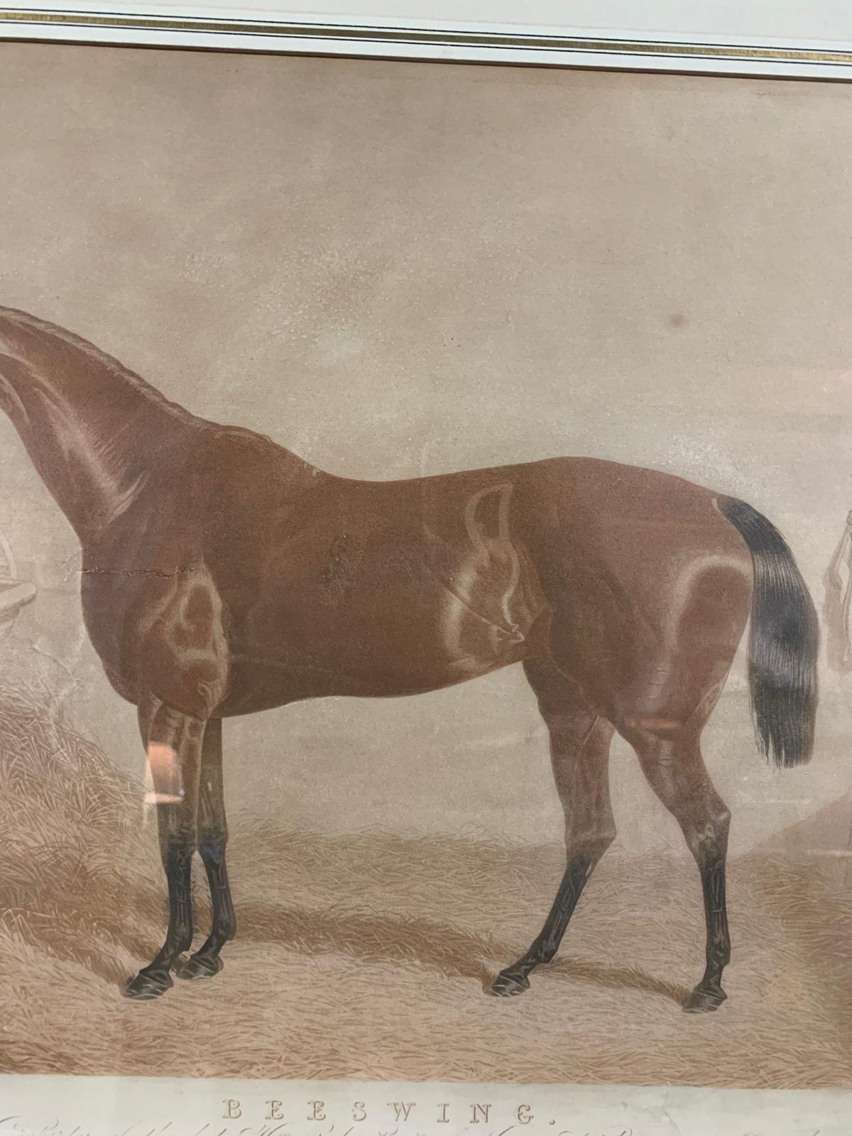 Antique print of Beeswing