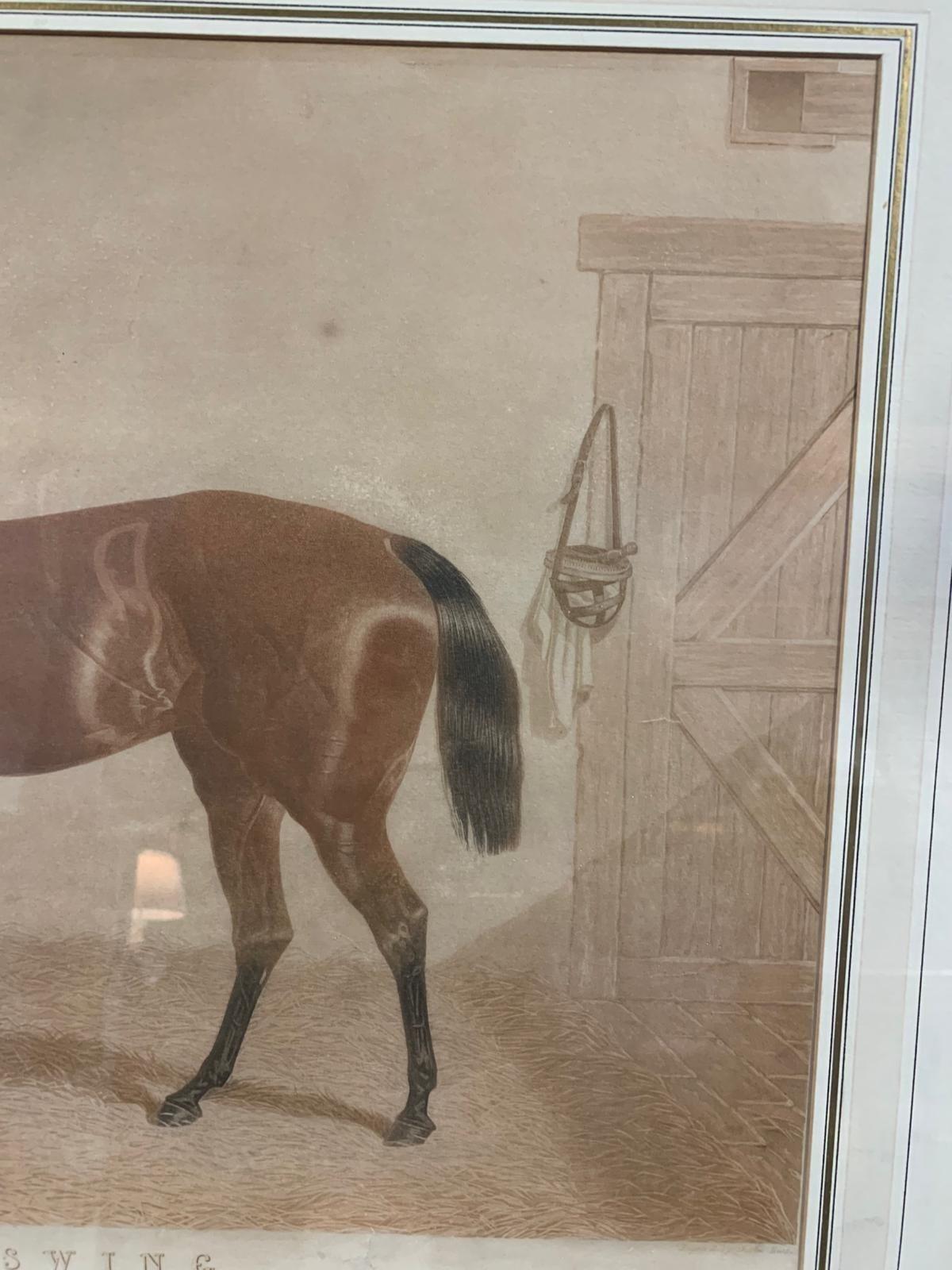 Antique print of Beeswing