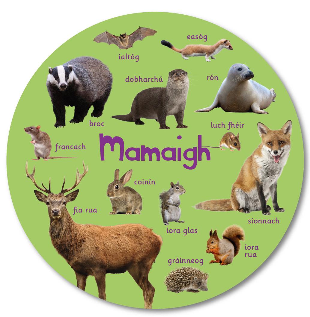 Circular Nature Sign - Mammals (as Gaeilge)