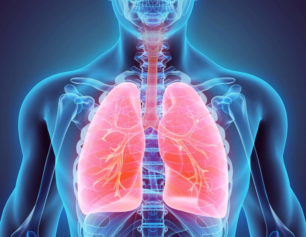 How do lungs heal from vaping?