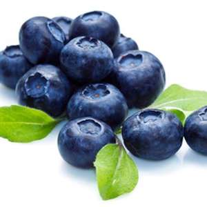 The Flavour Apprentice Blueberry Extra Concentrate