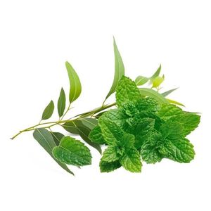 Inawera Eucalyptus and Mint Flavour E liquid Flavour Concentrate