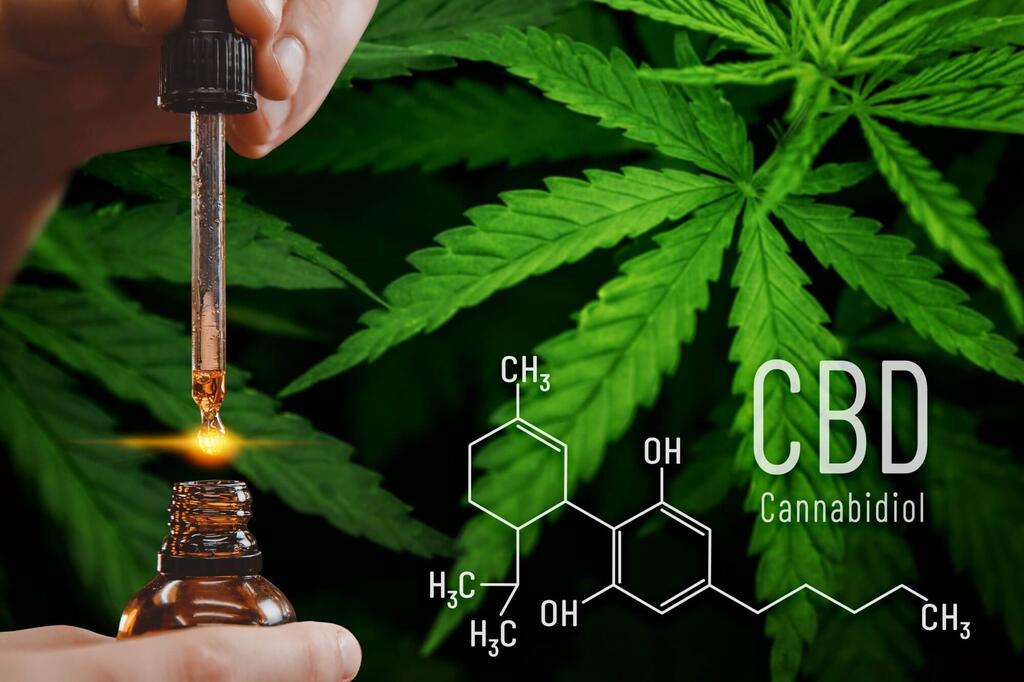 Everything You Need to Know About Cannabidiol
