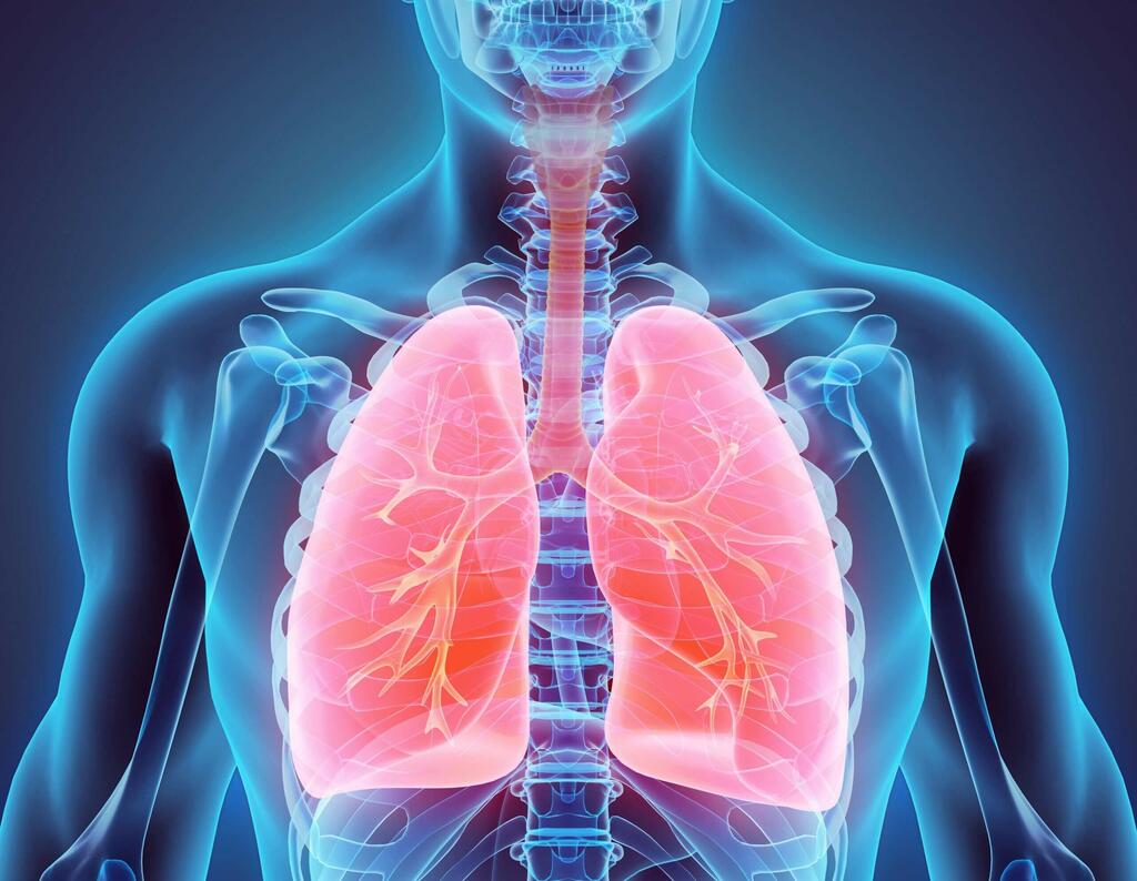 Can your lungs recover from vaping?