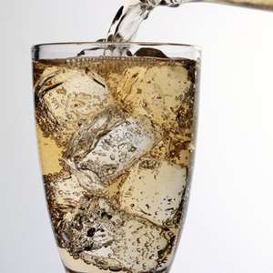 The Flavour Apprentice Ginger Ale NF Concentrate