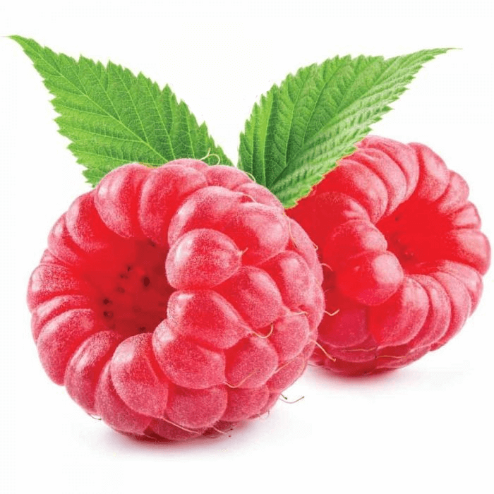 FW Raspberry Natural Concentrate