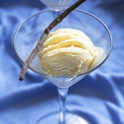 The Flavour Apprentice Vanilla Bean Ice Cream Concentrate
