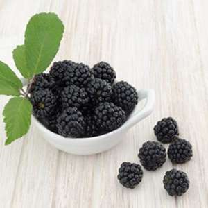 The Flavour Apprentice Boysenberry Concentrate