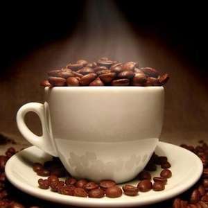 The Flavour Apprentice Mocha Concentrate