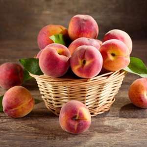 The Flavour Apprentice Peach Concentrate