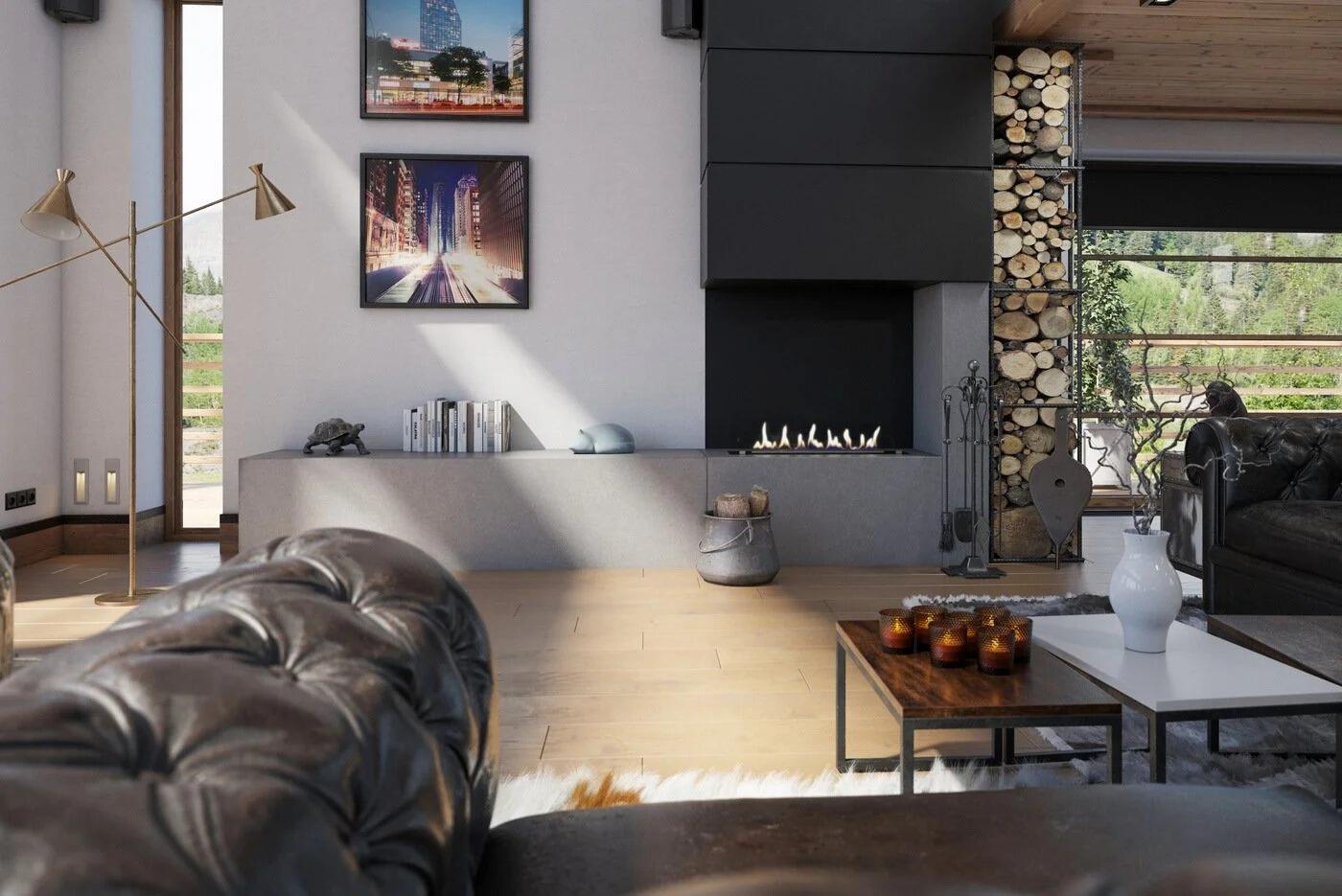 Denver F3 burner in a modern living room with a leather sofa