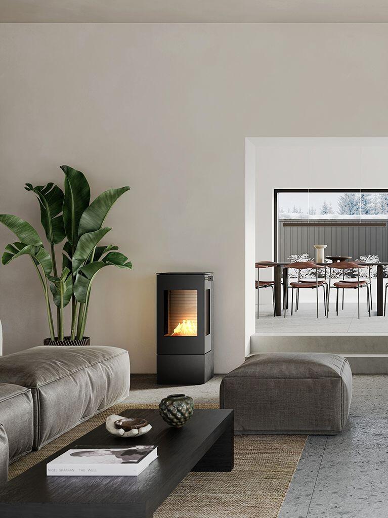 Rais Nexo 100 Bio bioethanol stove in black in a living room with a large plant