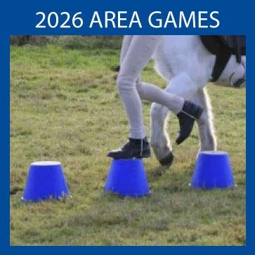 3 blue stepping stones in a field with a child legs going over the stepping stones and a pony's legs showing behind the child