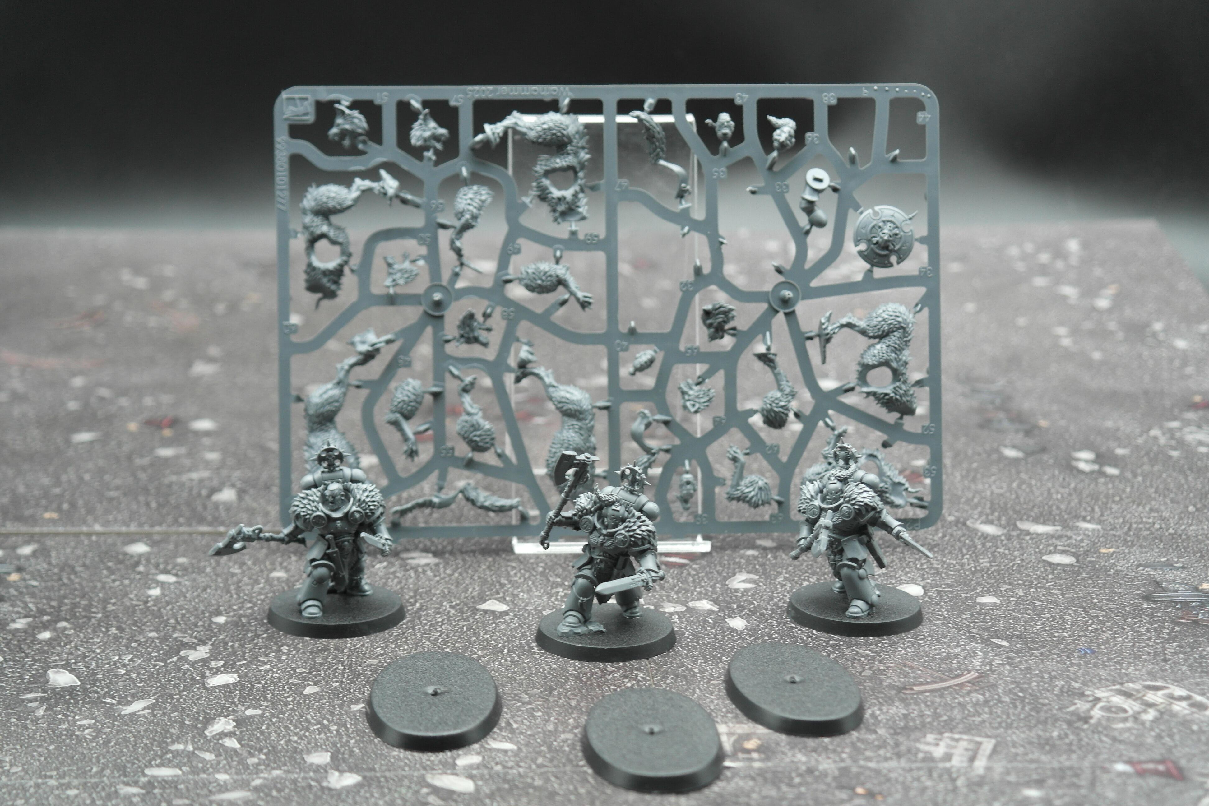 Pre-loved Wolfguard Head Takers REF-101 Warhammer 40k front view