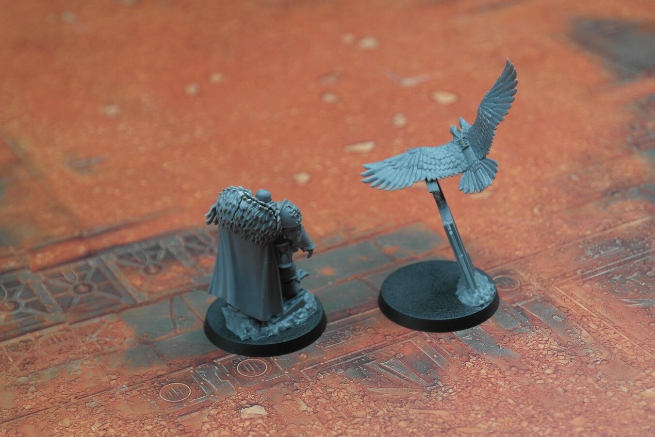Pre-Loved Inquisitor Coteaz Rear View