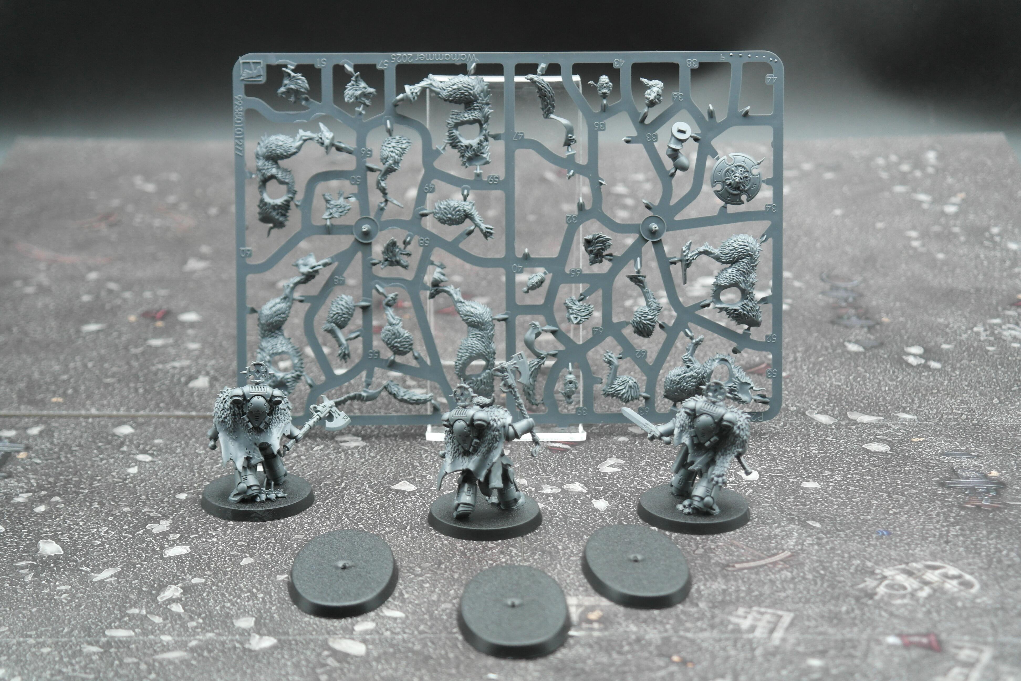 Pre-loved Wolfguard Head Takers REF-101 Warhammer 40k rear view