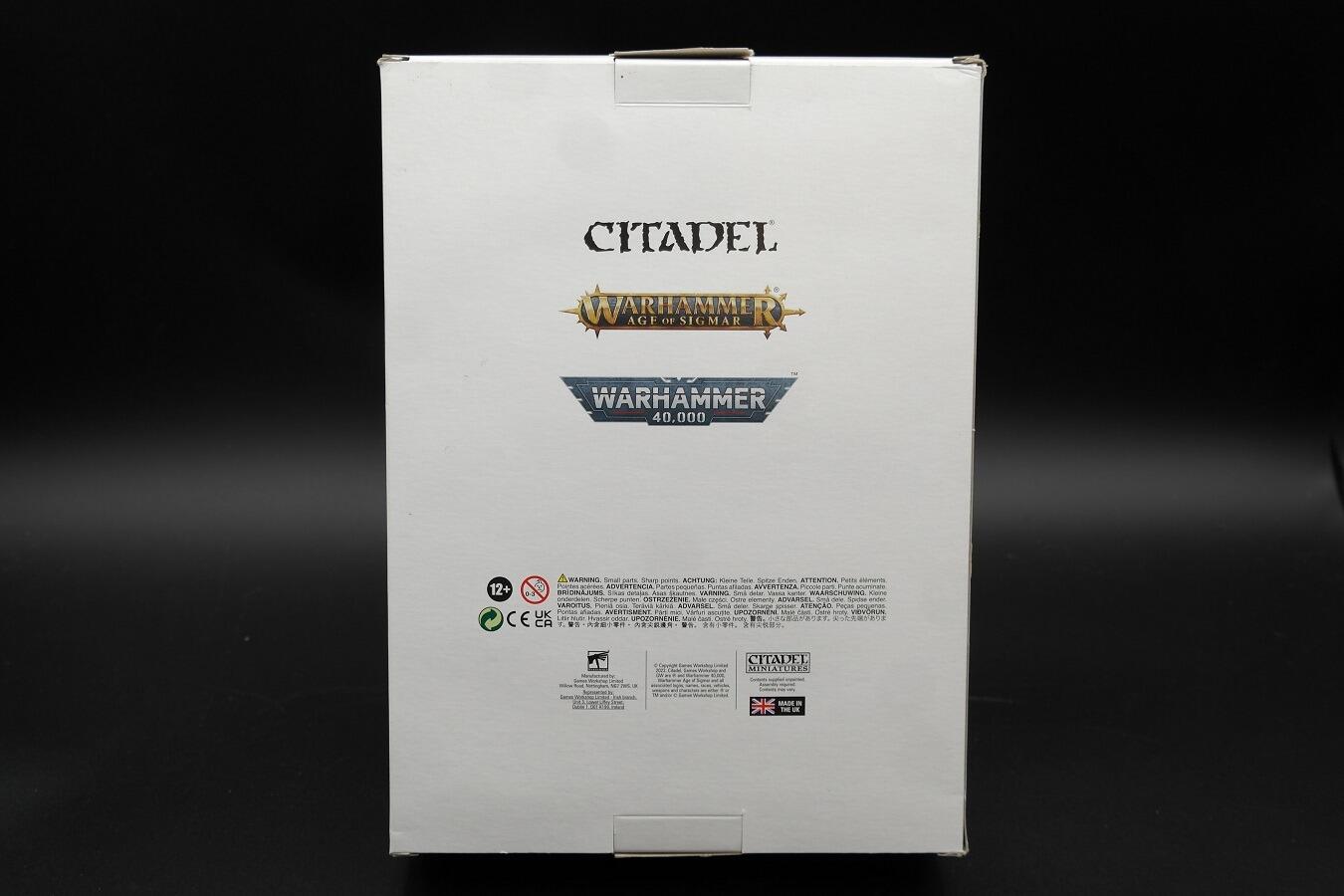 Pre-Loved Maggoth Lord - Rear of box