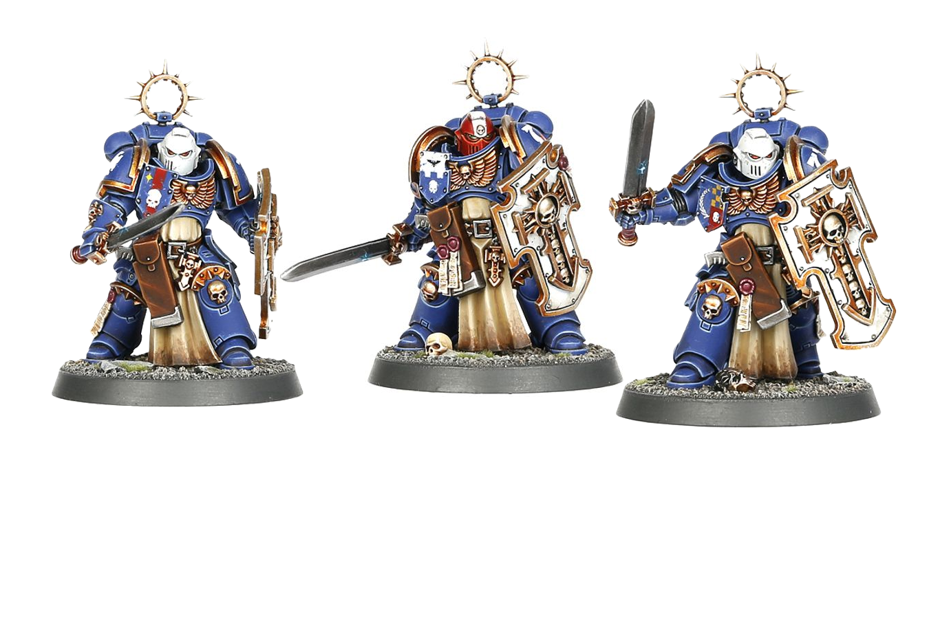 Example of fully Build Bladeguard and Painted