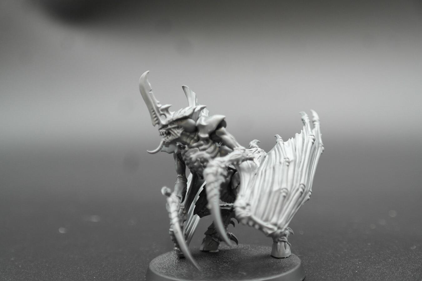 Winged Prime - Head close up