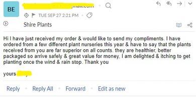 Customer Feedback