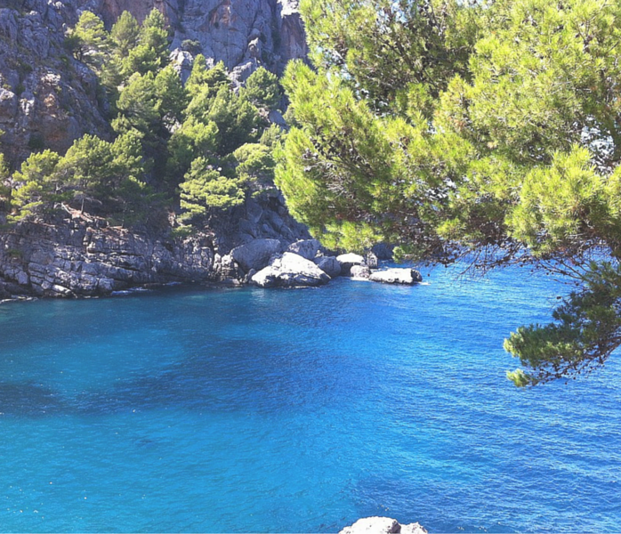 Adopting a Mediterranean Style Diet