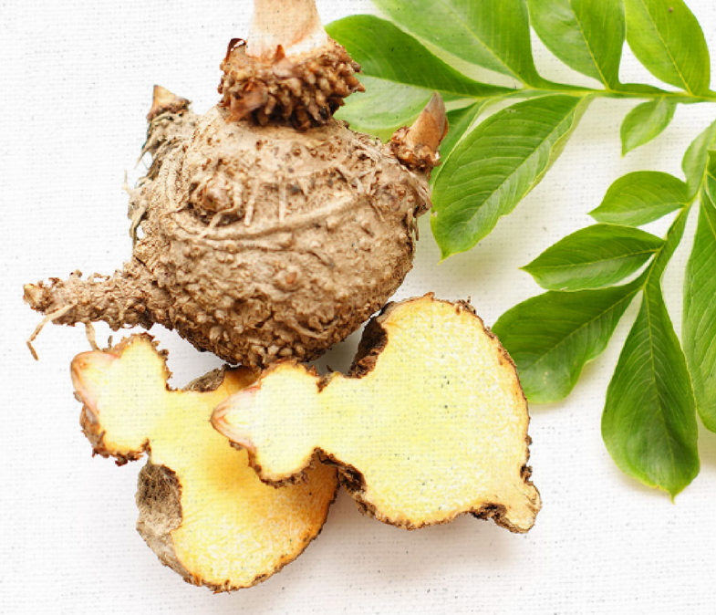 Glucomannan and Weight Loss