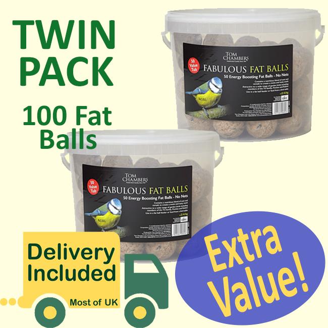 Kingfisher Wild Bird Feed Tub of 50 Fat Balls in Resealable Pack 