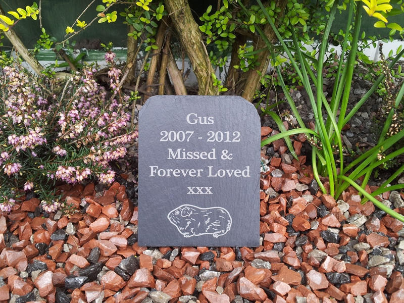 guinea pig gravestone