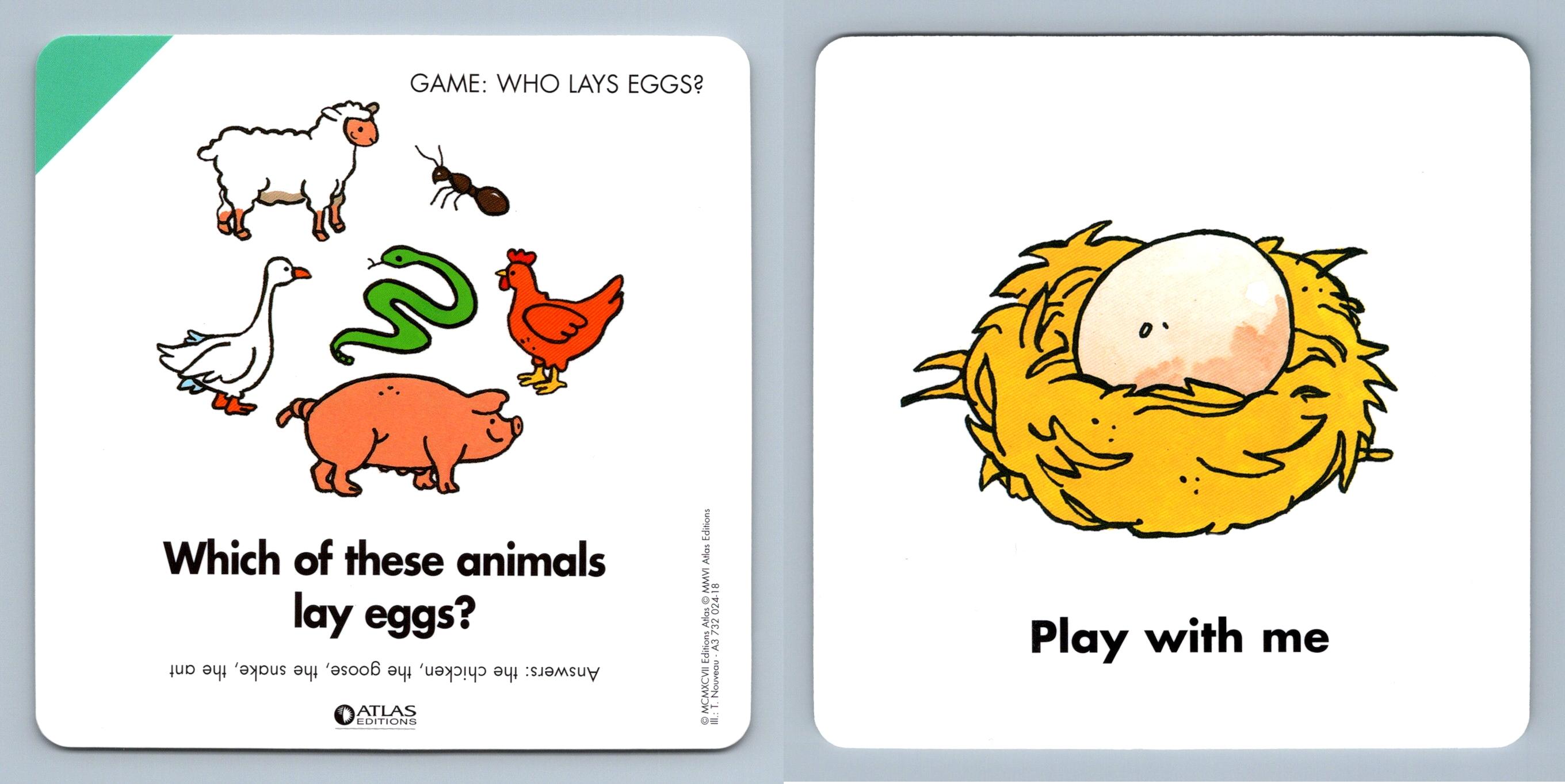 Which Animal Lays Eggs - Atlas Editions Play & Learn Flash Card