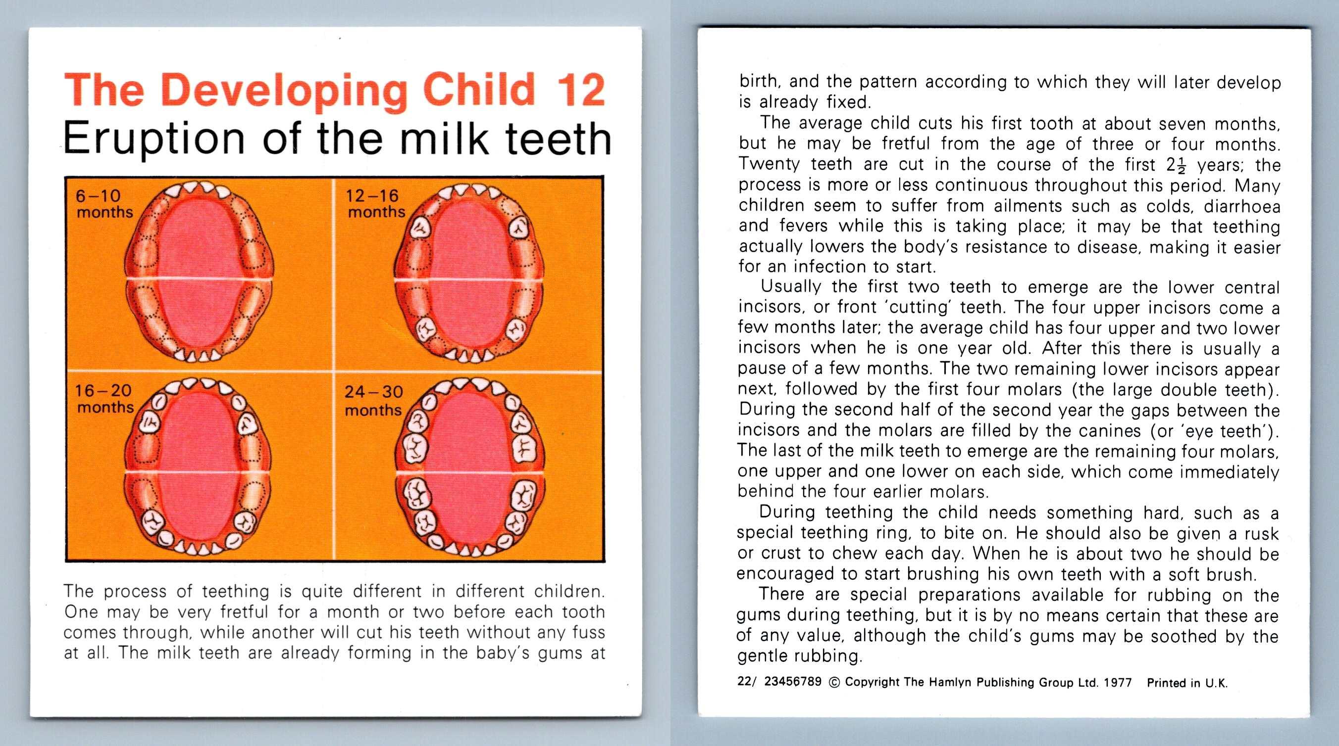 eruption-of-milk-teeth-12-developing-home-medical-guide-1975-8