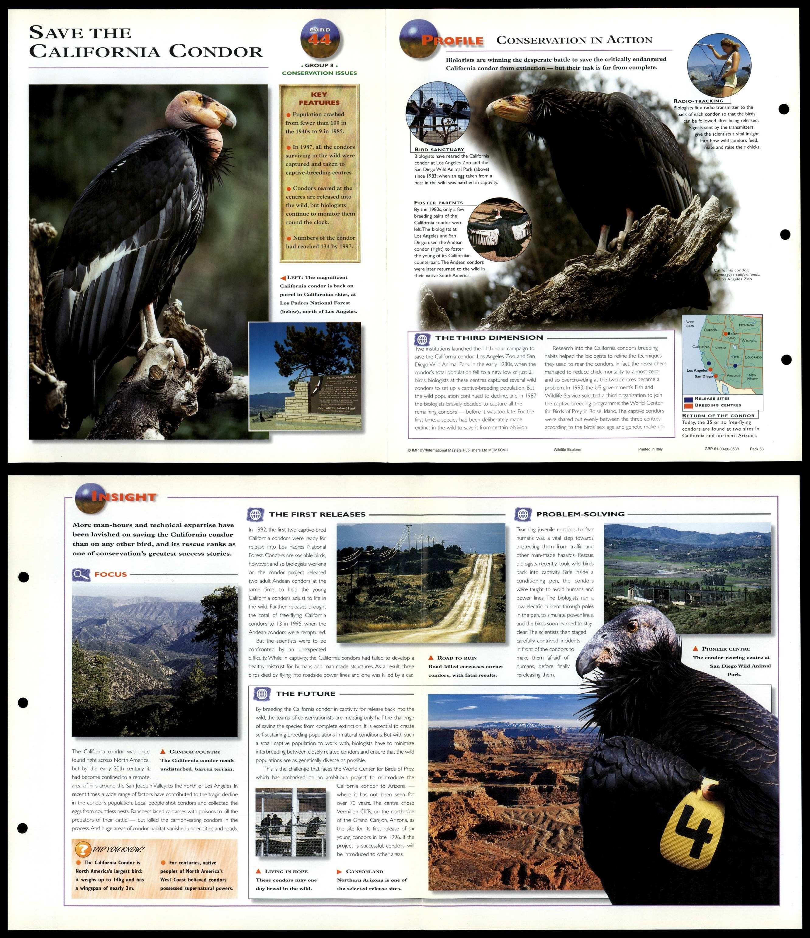 save-the-california-condor-44-conservation-wildlife-explorer-fold