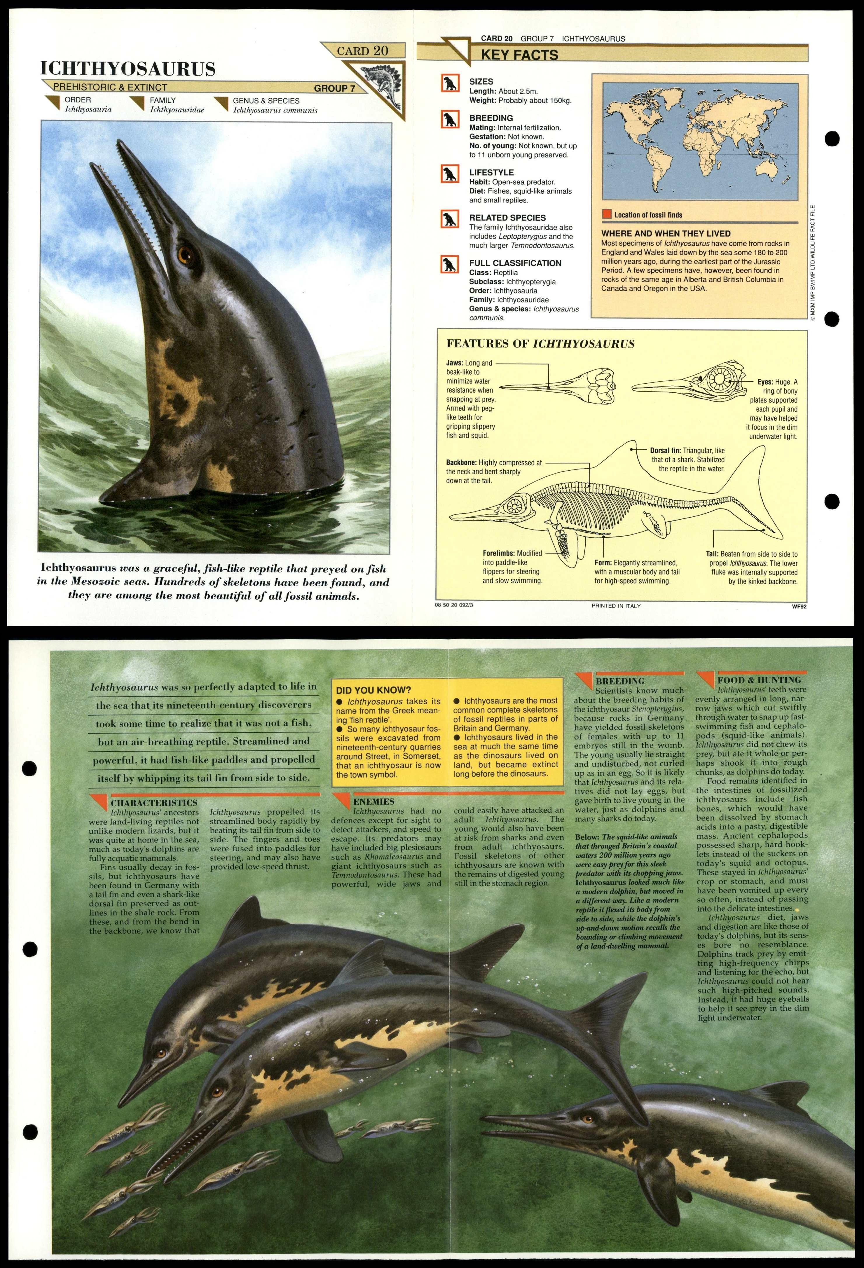 Ichthyosaurus #20 Extinct Wildlife Fact File Fold-Out Card