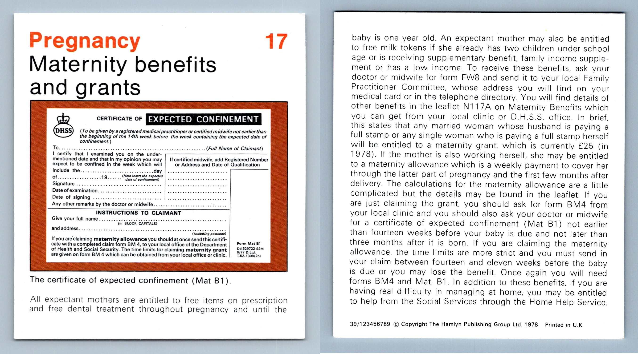 Maternity Benefits & Grants 17 Pregnancy Home Medical Guide 19758