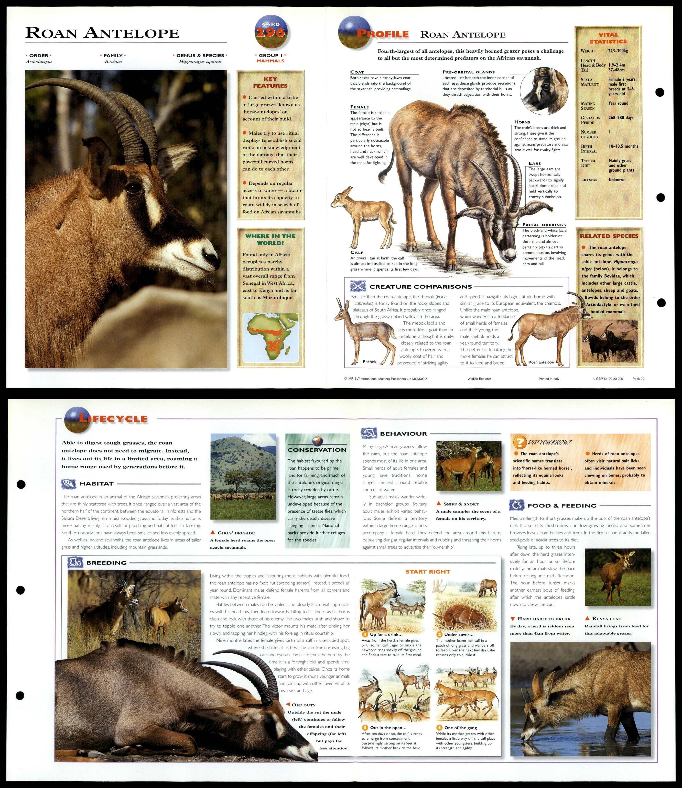 Pick And Pull Antelope Inventory - sezjxhx