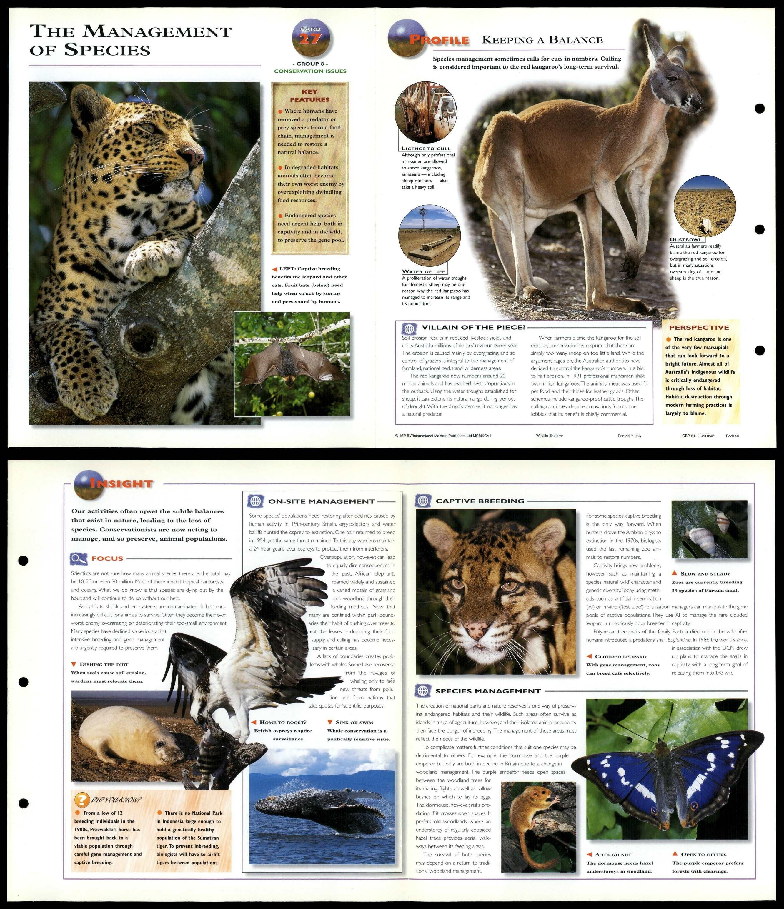 The Management Of Species #27 Conservation - Wildlife Explorer Fold-Out