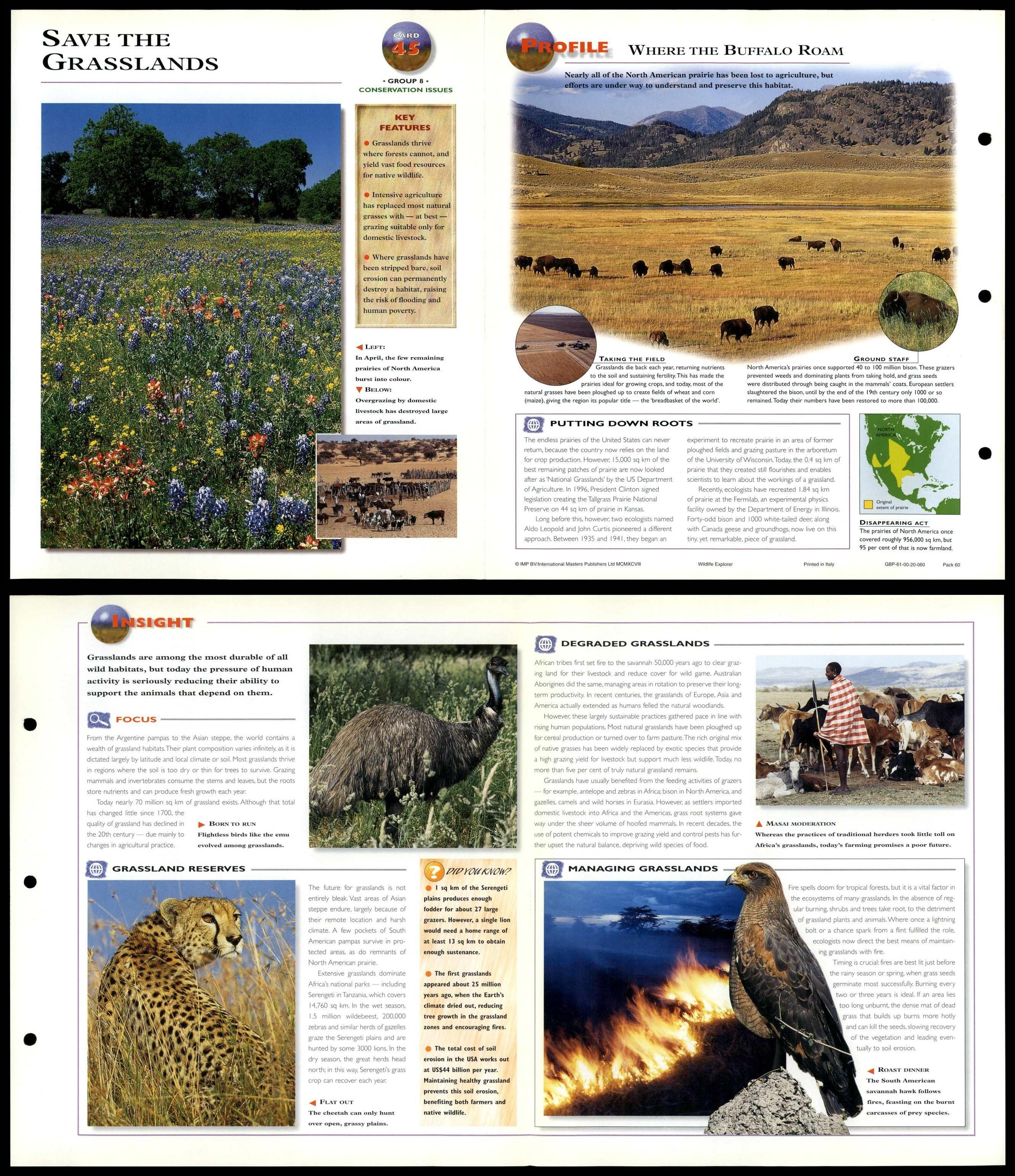 Wildlife Classification: How Your State Affects Conservation - mfesbbg