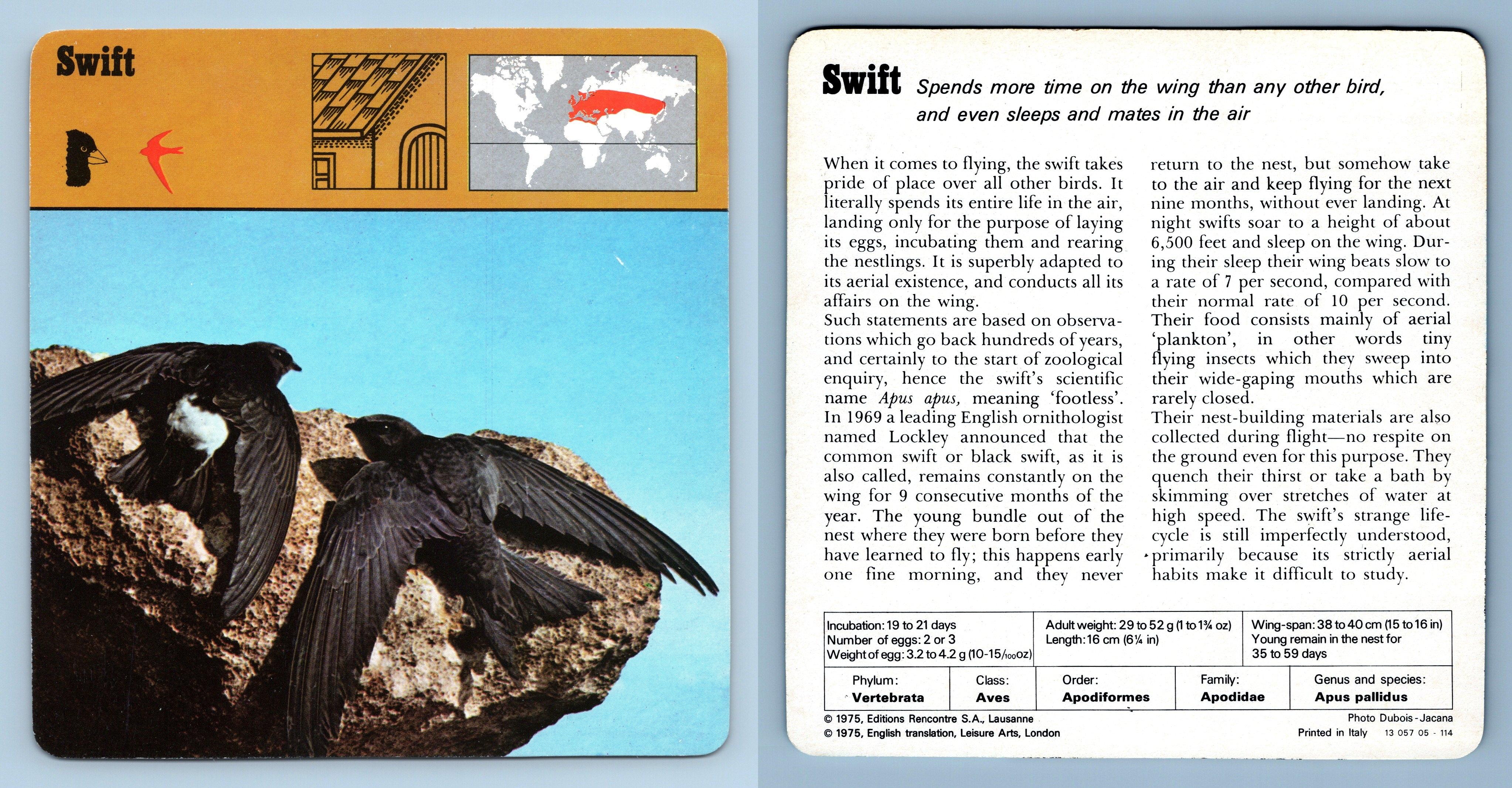 editions rencontre safari cards